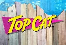 Top Cat